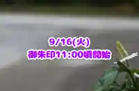 くまくま神社(導きの社 熊野町熊野神社)(東京都)