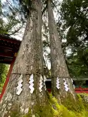 日光二荒山神社(栃木県)