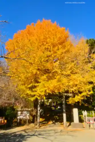 葛原岡神社(神奈川県)