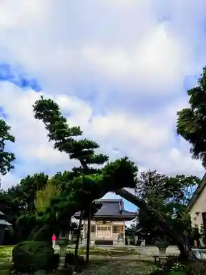 神明社（中和会神明社）のその他建物