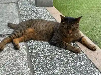 露天神社（お初天神）(大阪府)