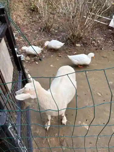 楽法寺（雨引観音）(茨城県)