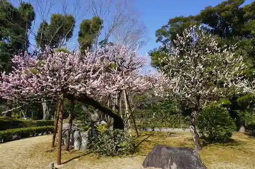伊勢神宮内宮（皇大神宮）の自然