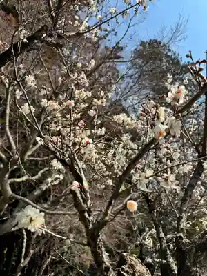 鹿島大神宮(福島県)