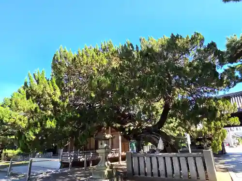 高砂神社(兵庫県)