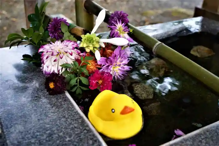 高司神社〜むすびの神の鎮まる社〜の手水舎
