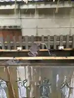 小野照崎神社の手水舎