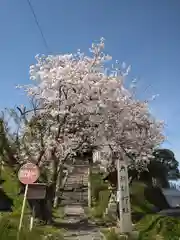 天御柱神社の自然