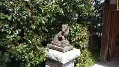 赤城神社の狛犬