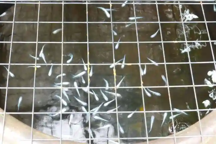 観音寺(福岡県)