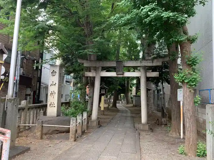 荻窪白山神社の鳥居