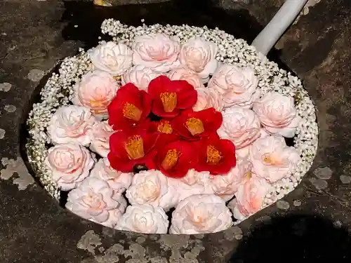 真言宗　善通寺派　薬王寺(香川県)