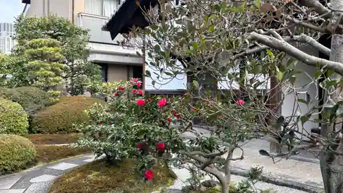 新德禅寺 (新徳寺)(京都府)