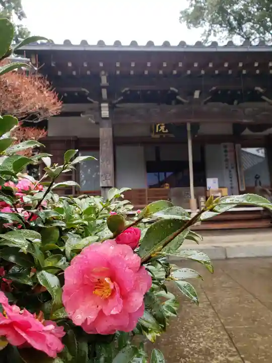 妙法寺(東京都)