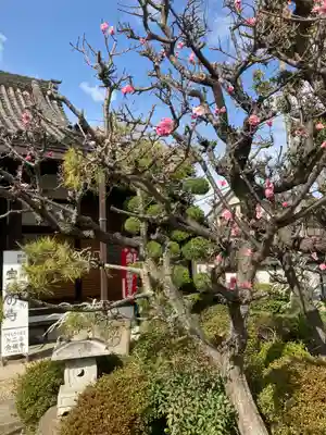 念佛寺の自然