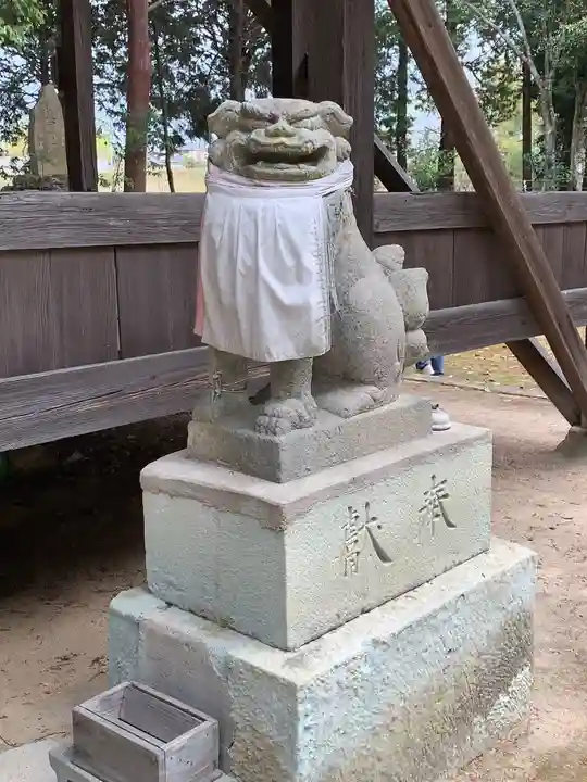 大歳神社の狛犬