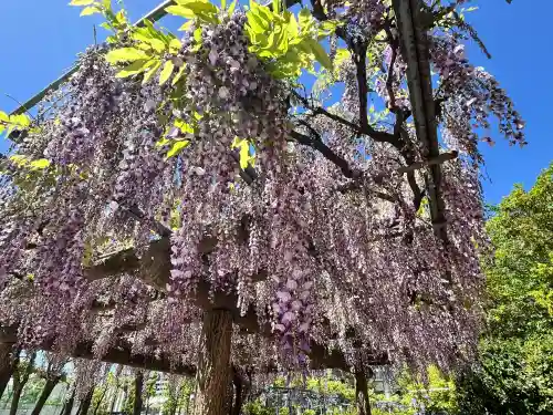 天満宮中之社（廃神社・石碑あり）(大阪府)
