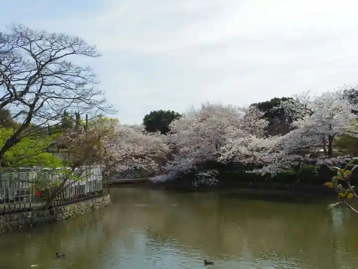 鶴岡八幡宮の自然