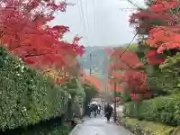 南禅寺(京都府)