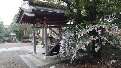 大塚神社の手水