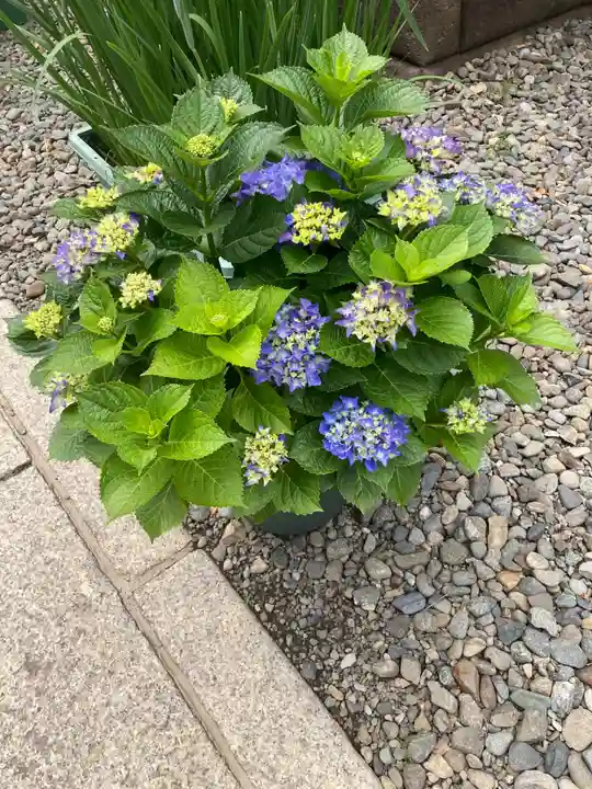 磐井神社(東京都)
