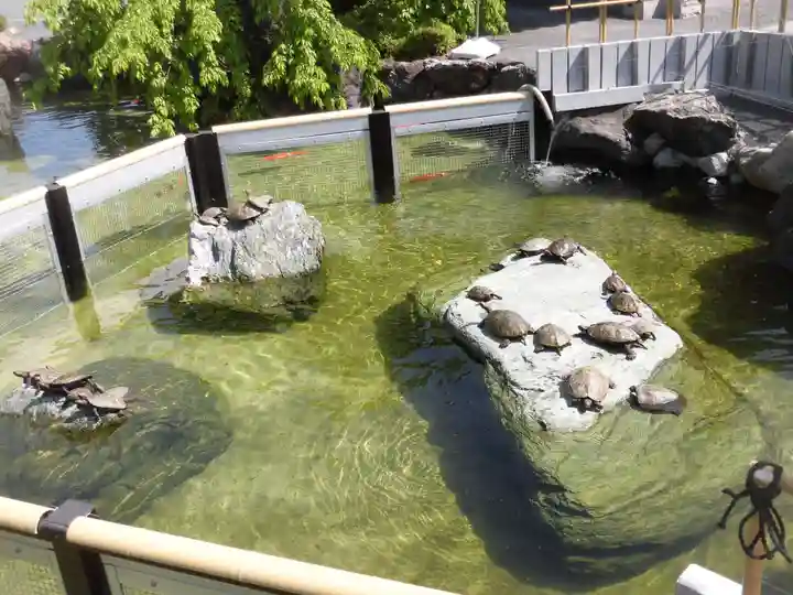 総持寺のその他建物