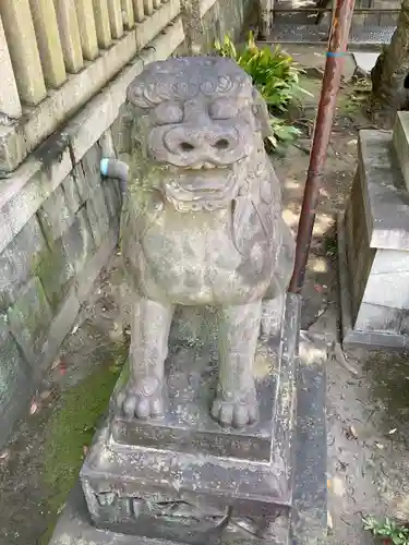 富岡八幡宮の狛犬