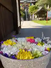 埼玉厄除け開運大師・龍泉寺（切り絵御朱印発祥の寺）(埼玉県)