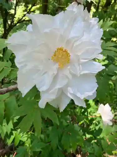 遠照寺(長野県)