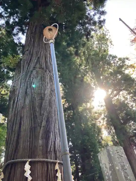 河口浅間神社(山梨県)