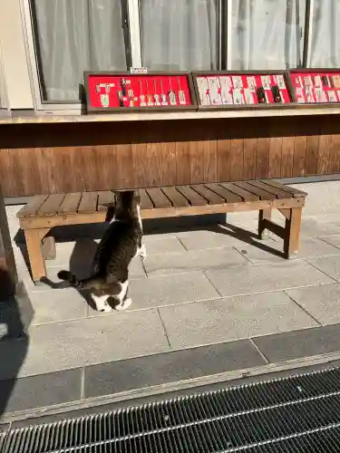 一宮神社(福岡県)