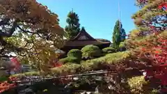 東光寺の建物その他