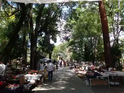 布多天神社のお祭り
