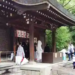 川越氷川神社(埼玉県)