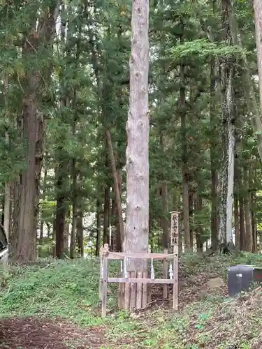 諏訪大社下社秋宮(長野県)