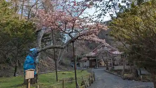 国泰寺の庭園