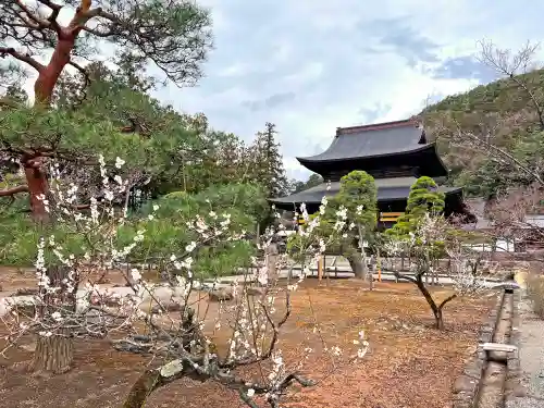 向嶽寺の庭園