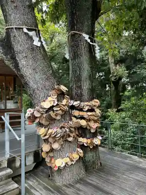白山宮(愛知県)