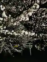 守りの神 藤基神社の鳥居