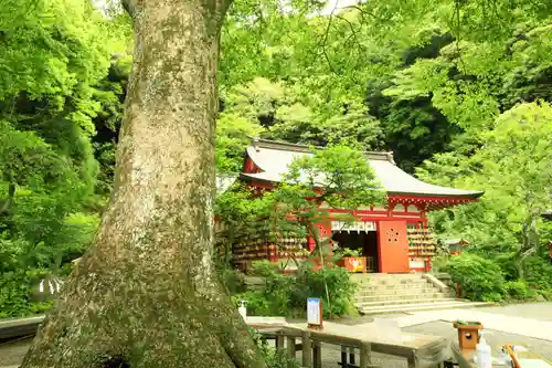 荏柄天神社(神奈川県)