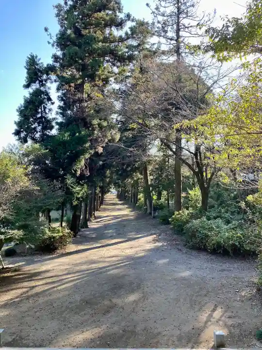 千代ケ岡八幡宮(栃木県)