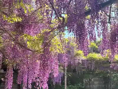 市場稲荷神社(大阪府)