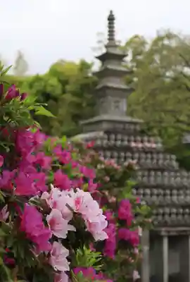 乙訓寺(京都府)