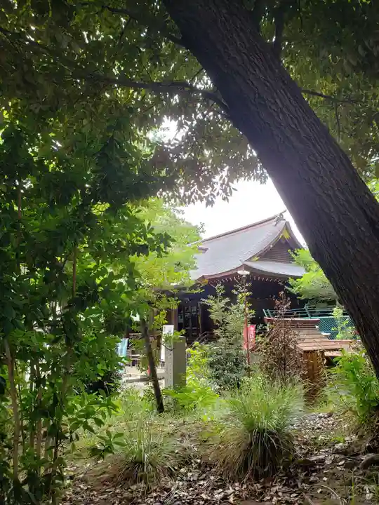 渋谷氷川神社(東京都)
