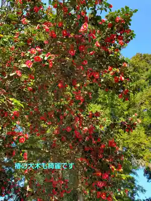 上合寺(福島県)