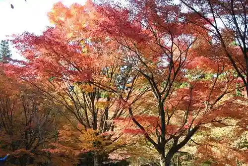 英彦山豊前坊高住神社(福岡県)