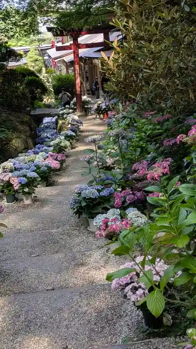 岡寺(龍蓋寺)(奈良県)