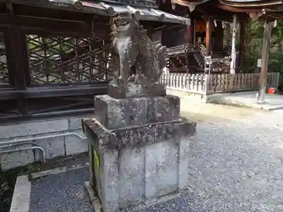 三尾神社の狛犬