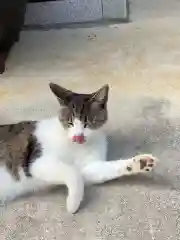 玉野御嶽神社の動物