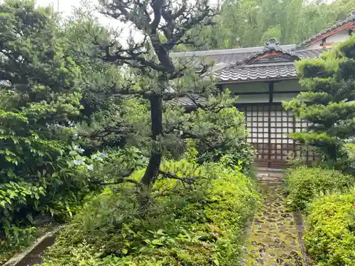 恵命院(京都府)